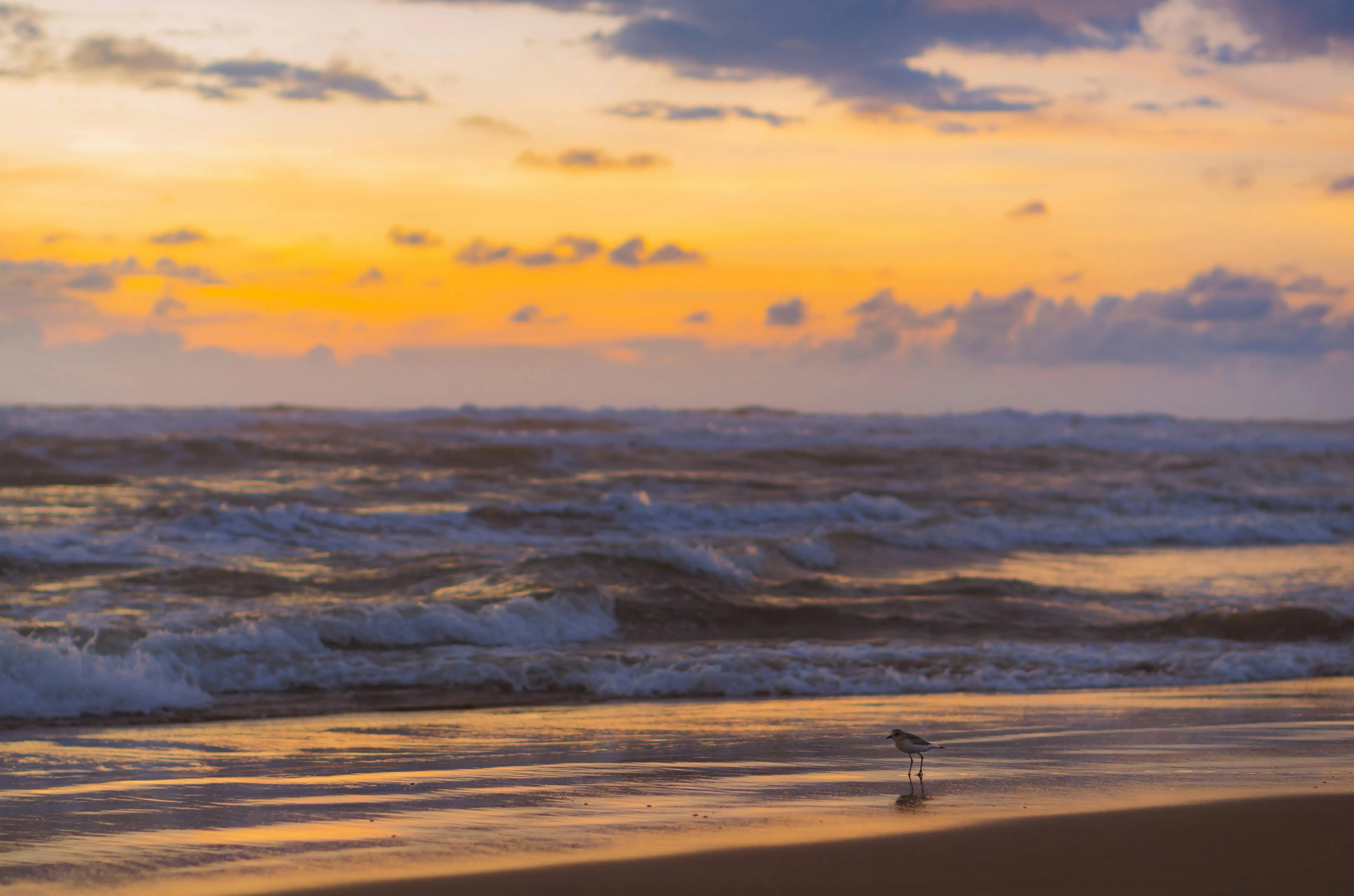 3. Gokarna