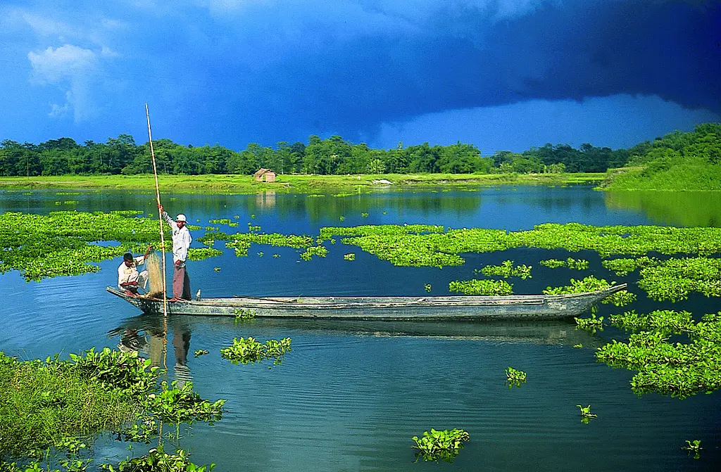 5. Majuli