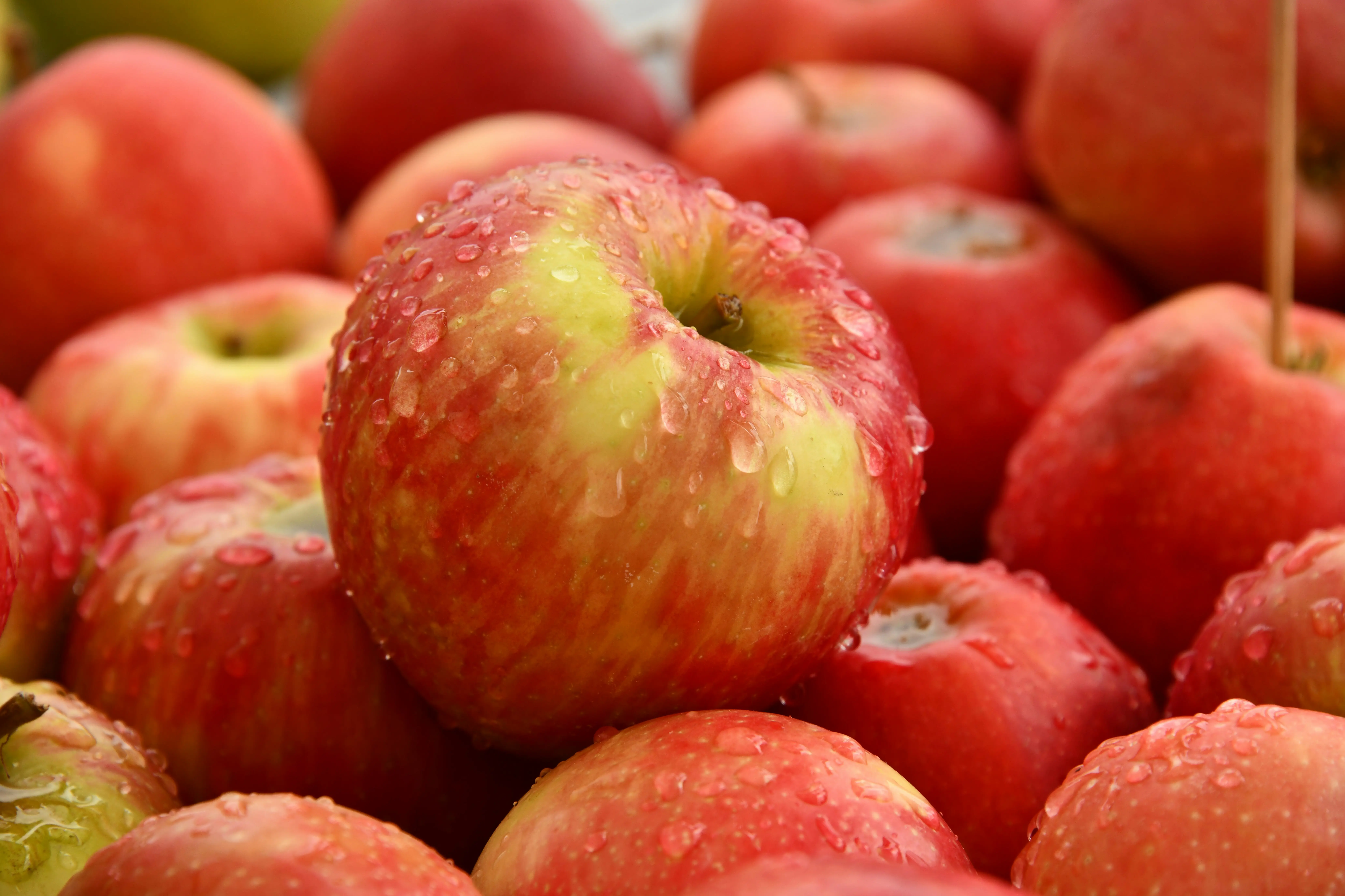 High-Speed Fruit Picking Harvesting Apples in 7 Seconds