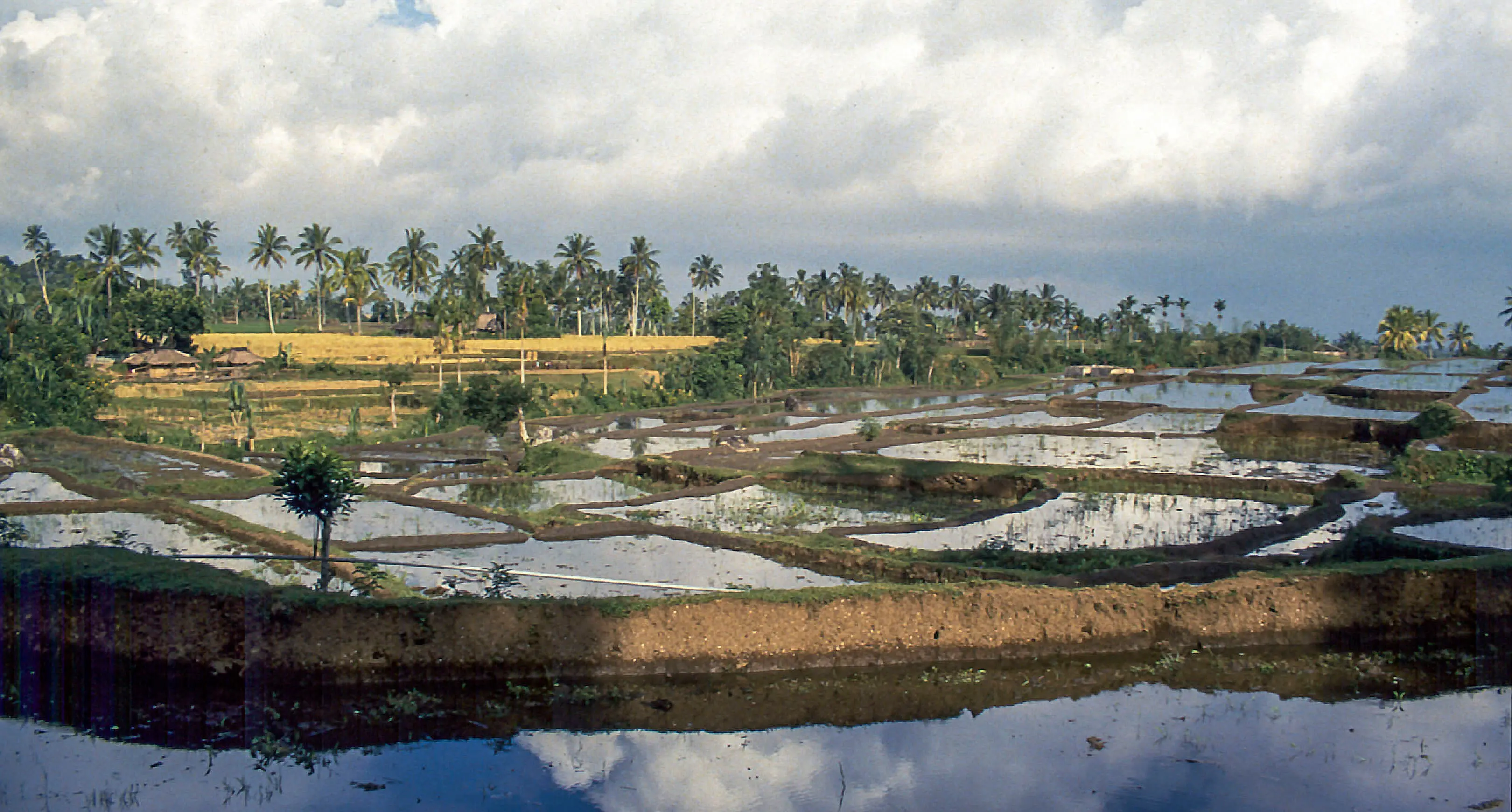 Precision Water Management Reducing Water Use by 25 Per Cent