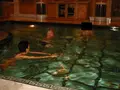 Epstein files released: DOJ reveals disturbing photo of Bill Clinton in pool with Ghislaine Maxwell & a mystery woman