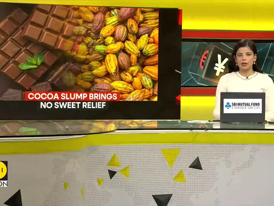 Cocoa Slump Brings No Sweet Relief