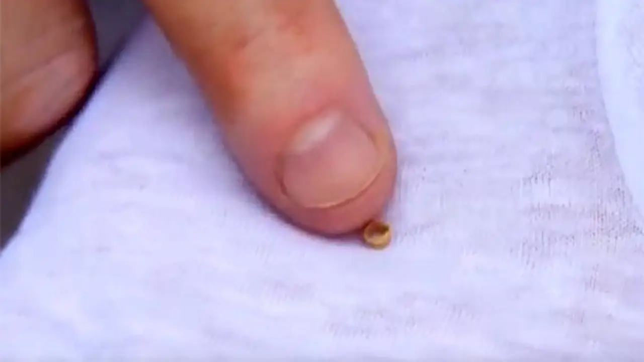 Tiny Gold Bead - 4,500 BC Pazardzhik Discovery
