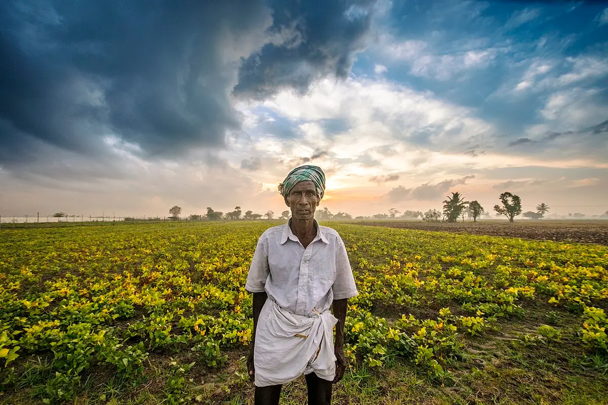 Procurement Guarantee for Farmers