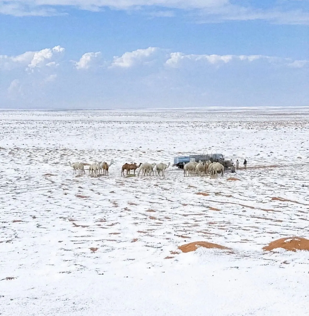 When deserts turn white: Saudi Arabia’s snowfall is a climate red flag and a warning that India can't ignore