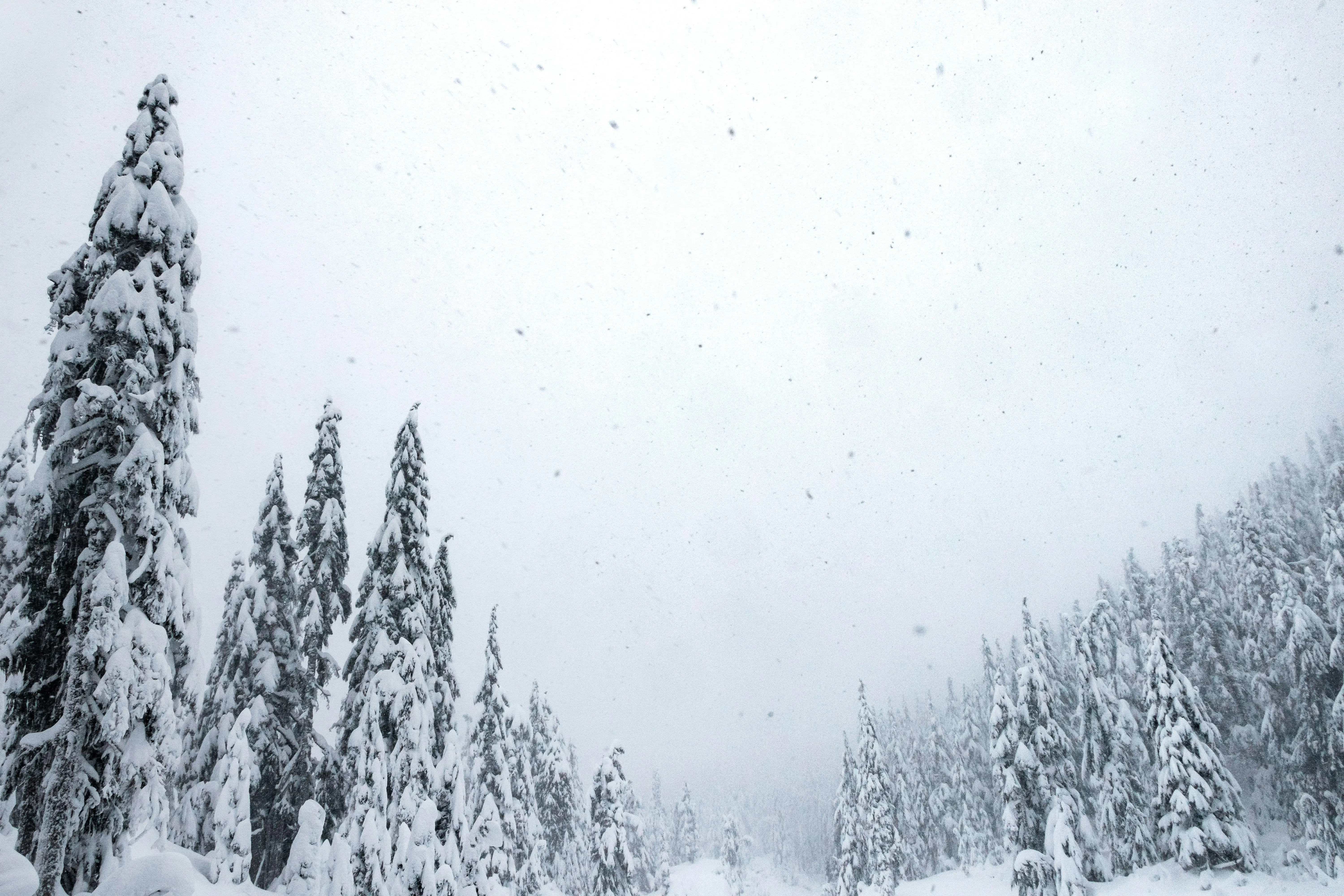6. Snag, Canada - North America's Coldest Record
