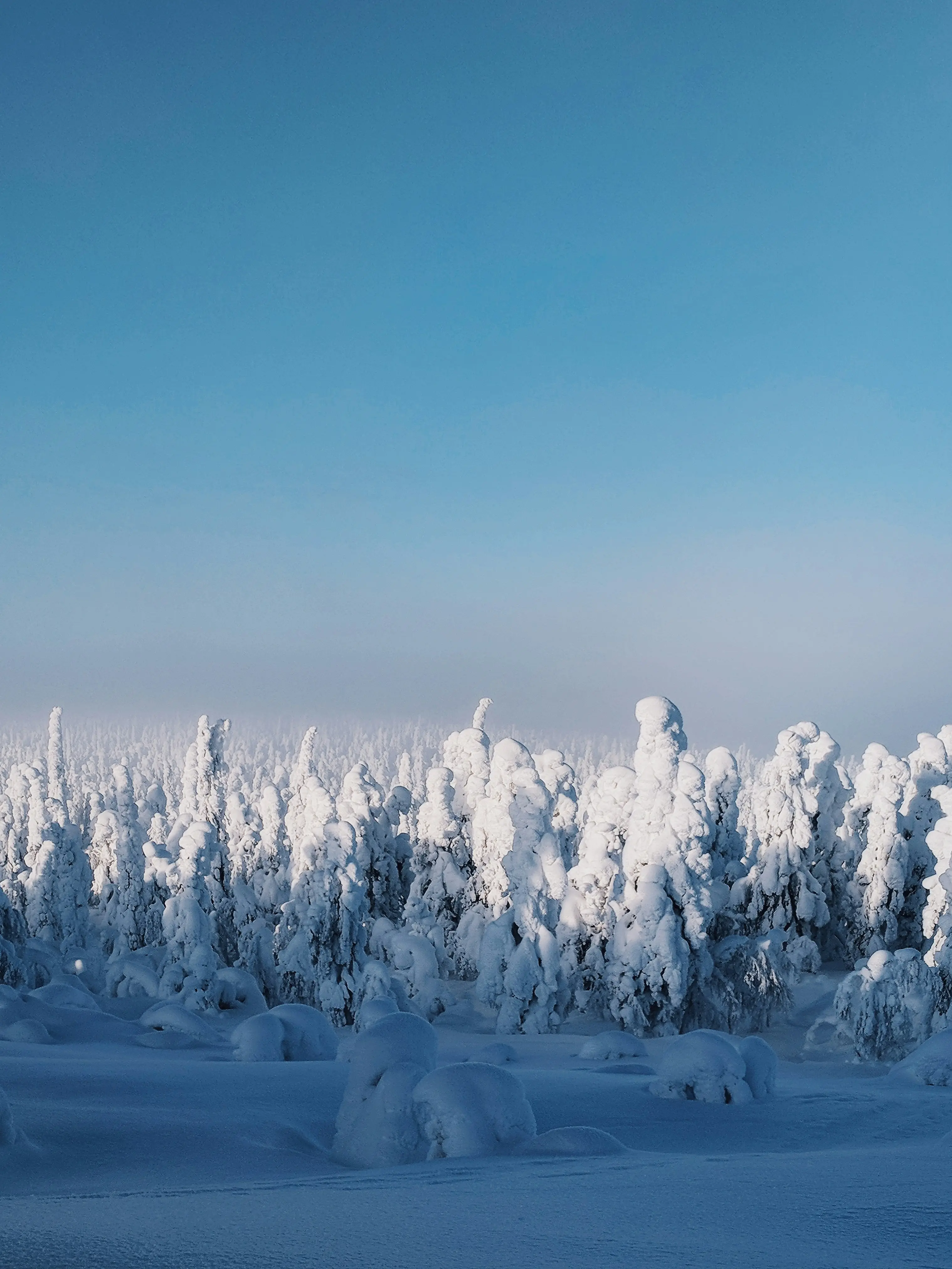 Lapland, Finland - Two-Hundred-Day Winter