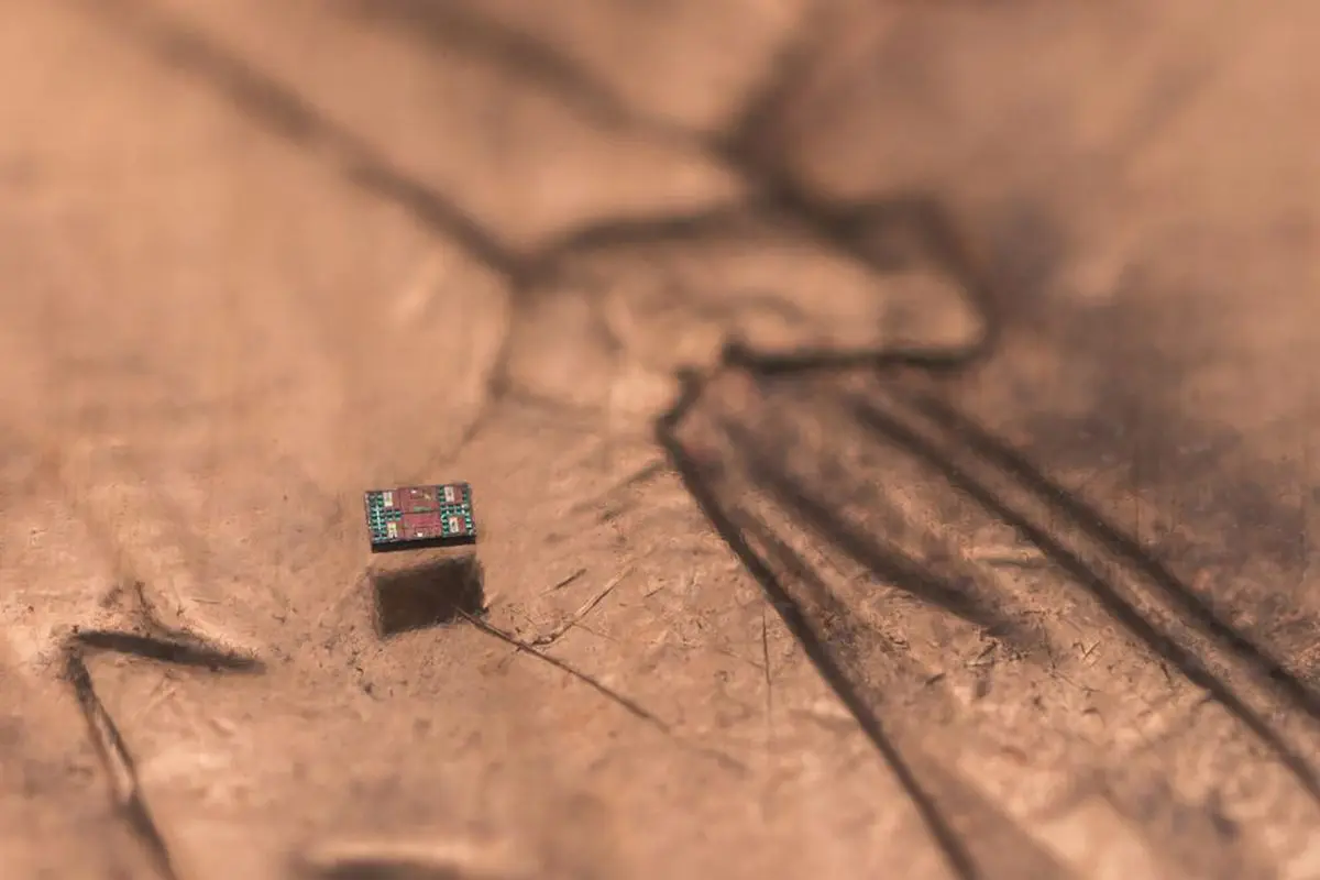 'Smaller than a grain of salt': Researcher develop world's smallest programmable, autonomous robots