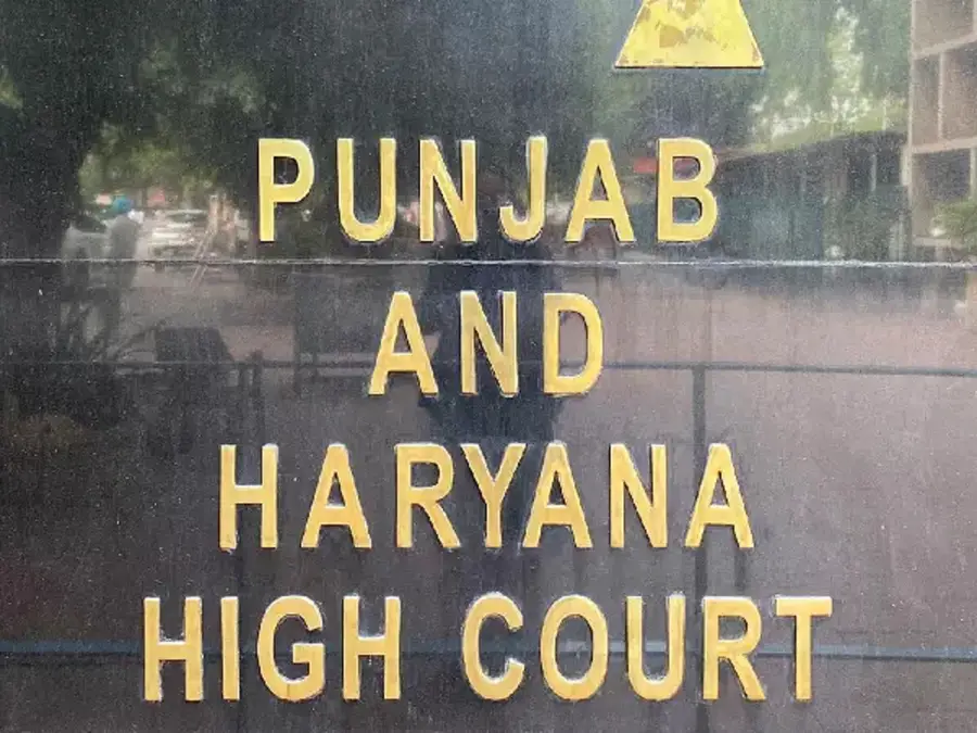 Mothers have blind love for ‘raja betas’ who can be villainous, says HC, gives 30-year jail to man in rape, murder case