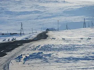 Winter 2009-2010 Arctic Invasion