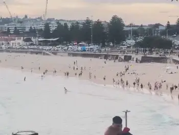 Sydney Bondi Beach shooting