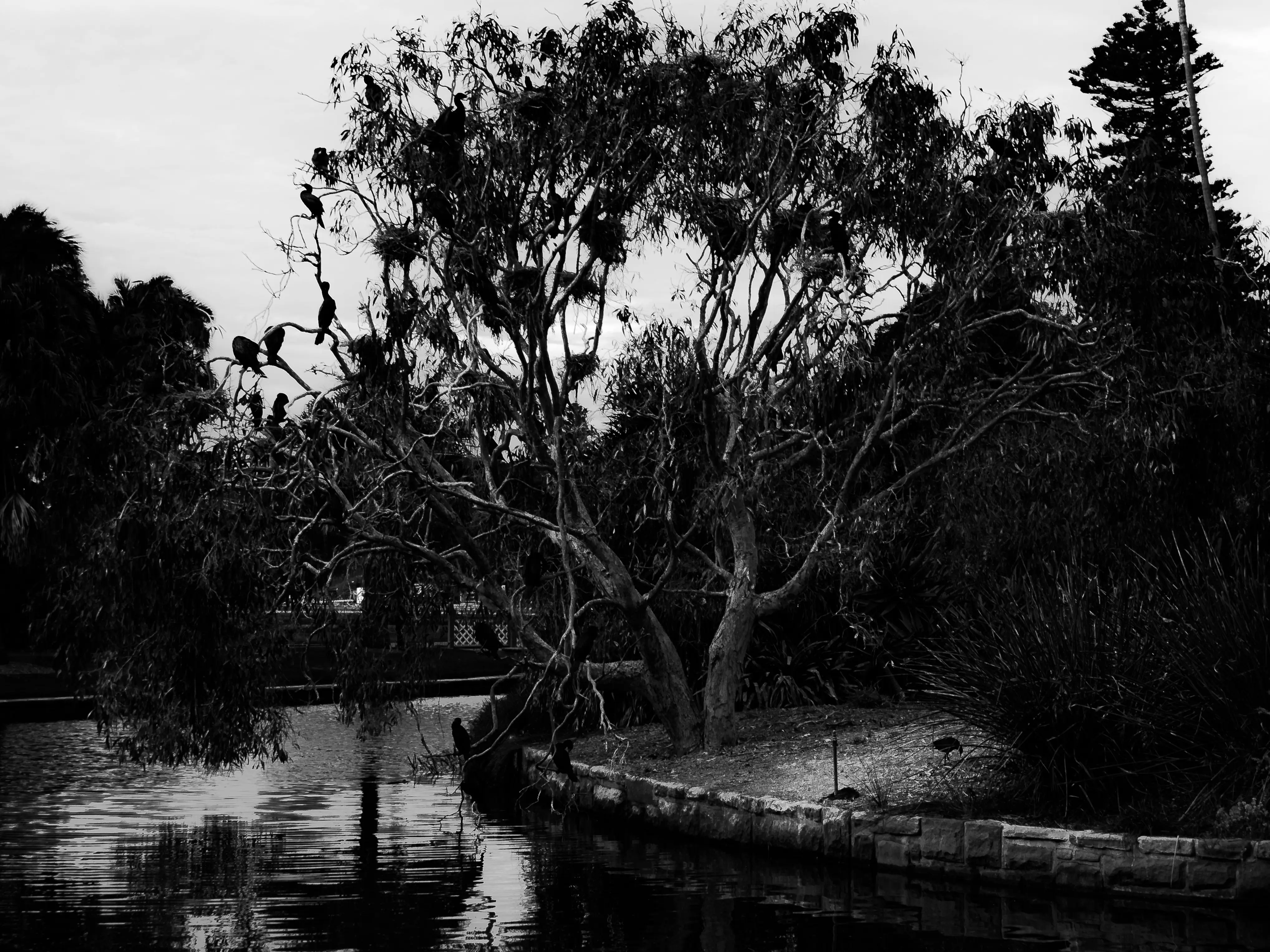 'HOUSTON, WE HAVE A PROBLEM!' Did the ‘lady bird lake killer’ move to Houston? Social media thinks so 'HOUSTON, WE HAVE A PROBLEM!' Did the ‘lady bird lake killer’ move to Houston? Social media thinks so