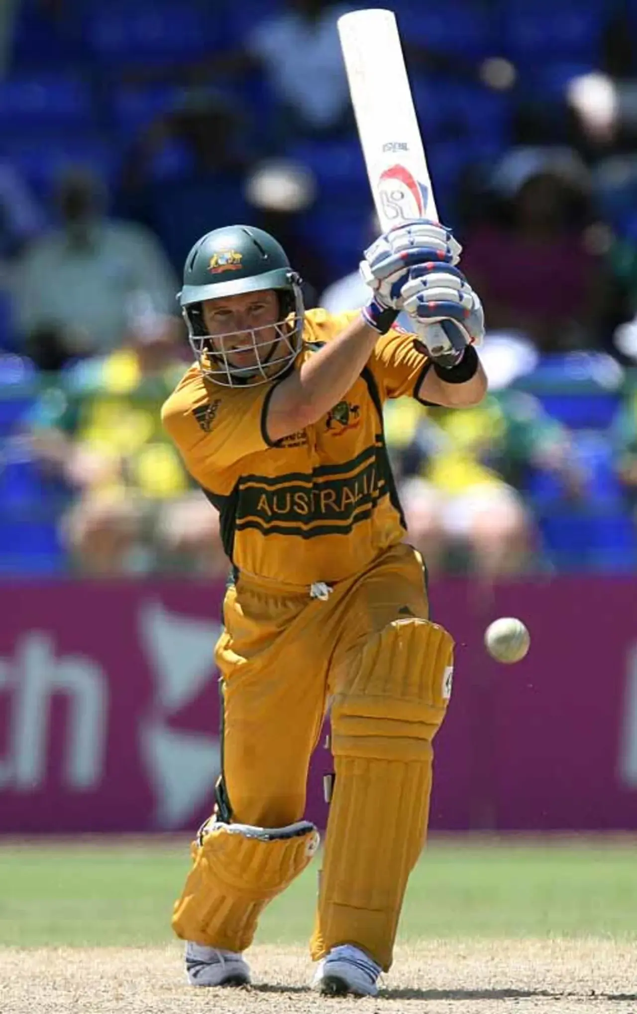 Brad Hodge (Australia)