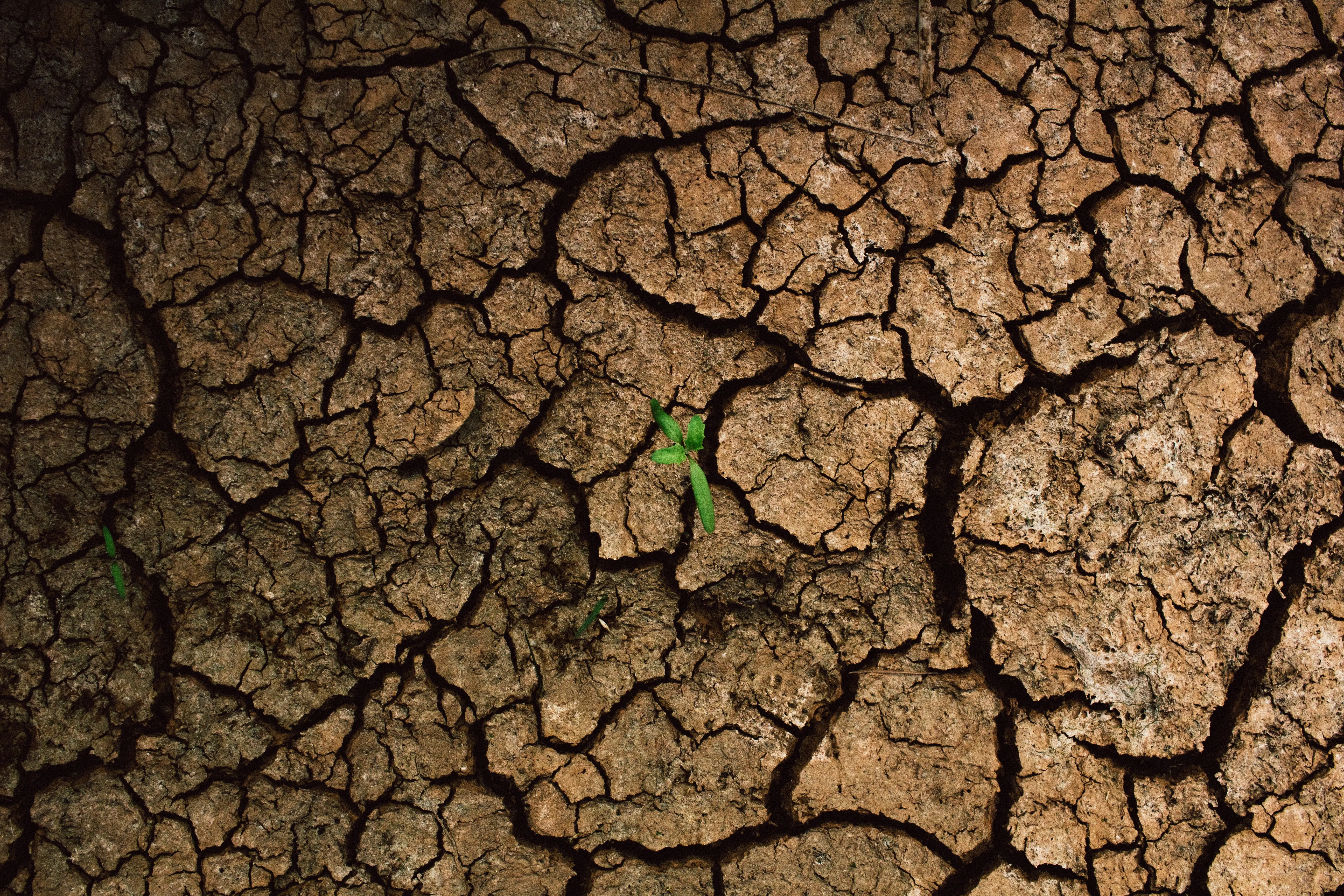 Singapore Builds World-Class Water and Climate Systems