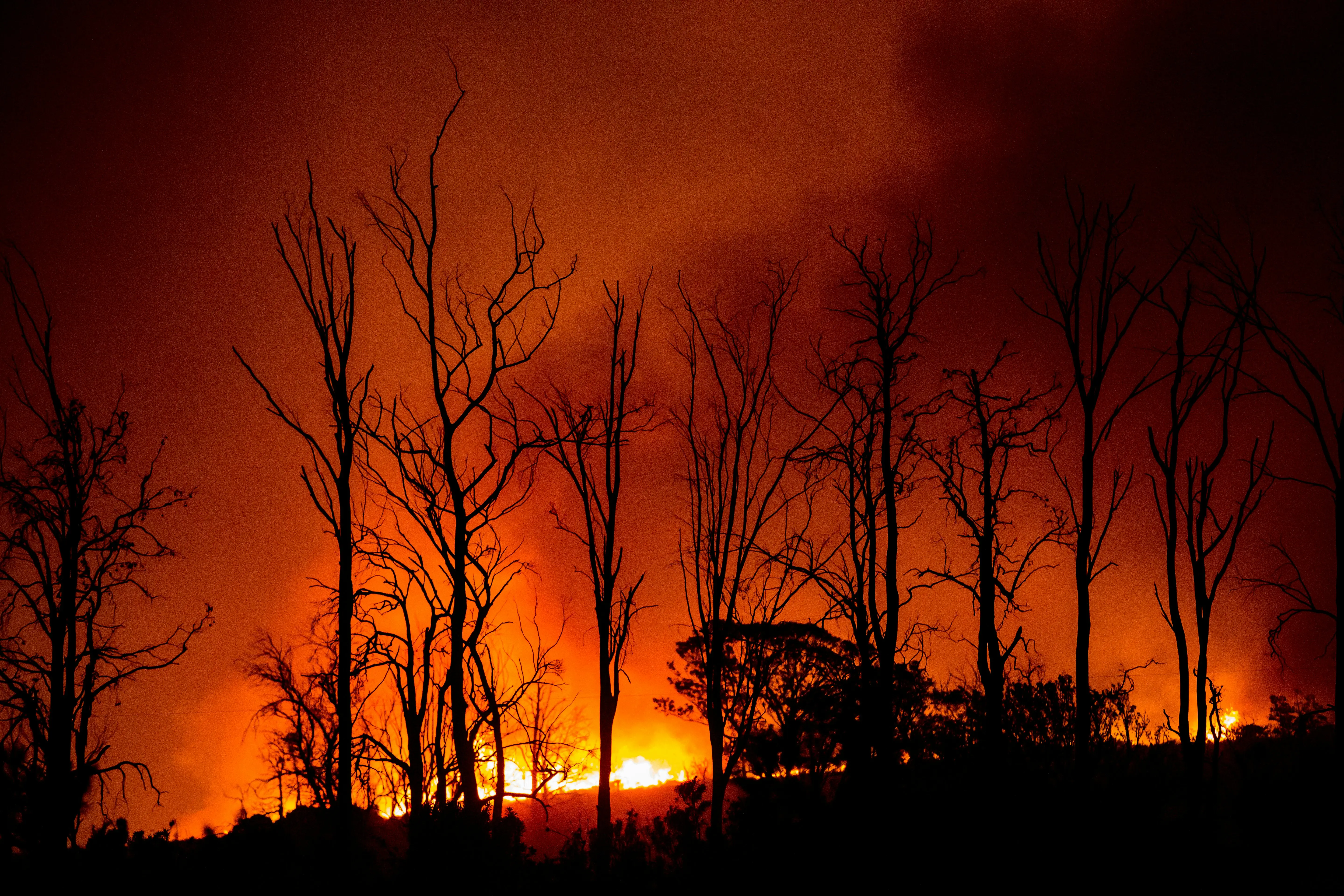 United States Ranks Most Climate-Resilient Economy Globally