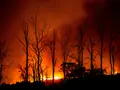 Top 10 countries adapting fastest to climate change