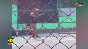 Recall 2025: Brainwashed Father Kills His Tennis Player Daughter, Radhika Yadav