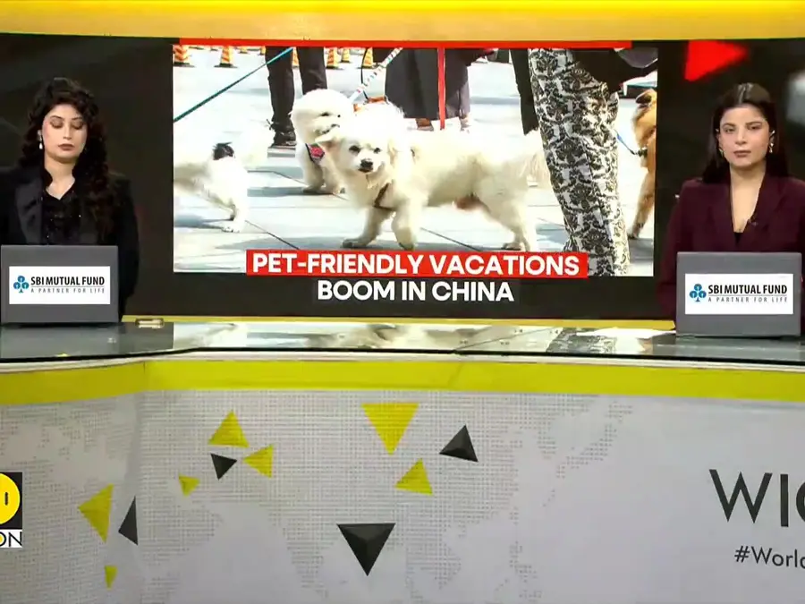 China’s Service Sector Shines as Holidaymakers Embrace Pet Travel and Bespoke Adventures