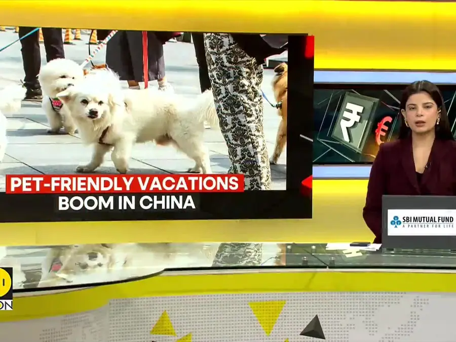 Pet-Friendly Travel Searches In China Surge 200%
