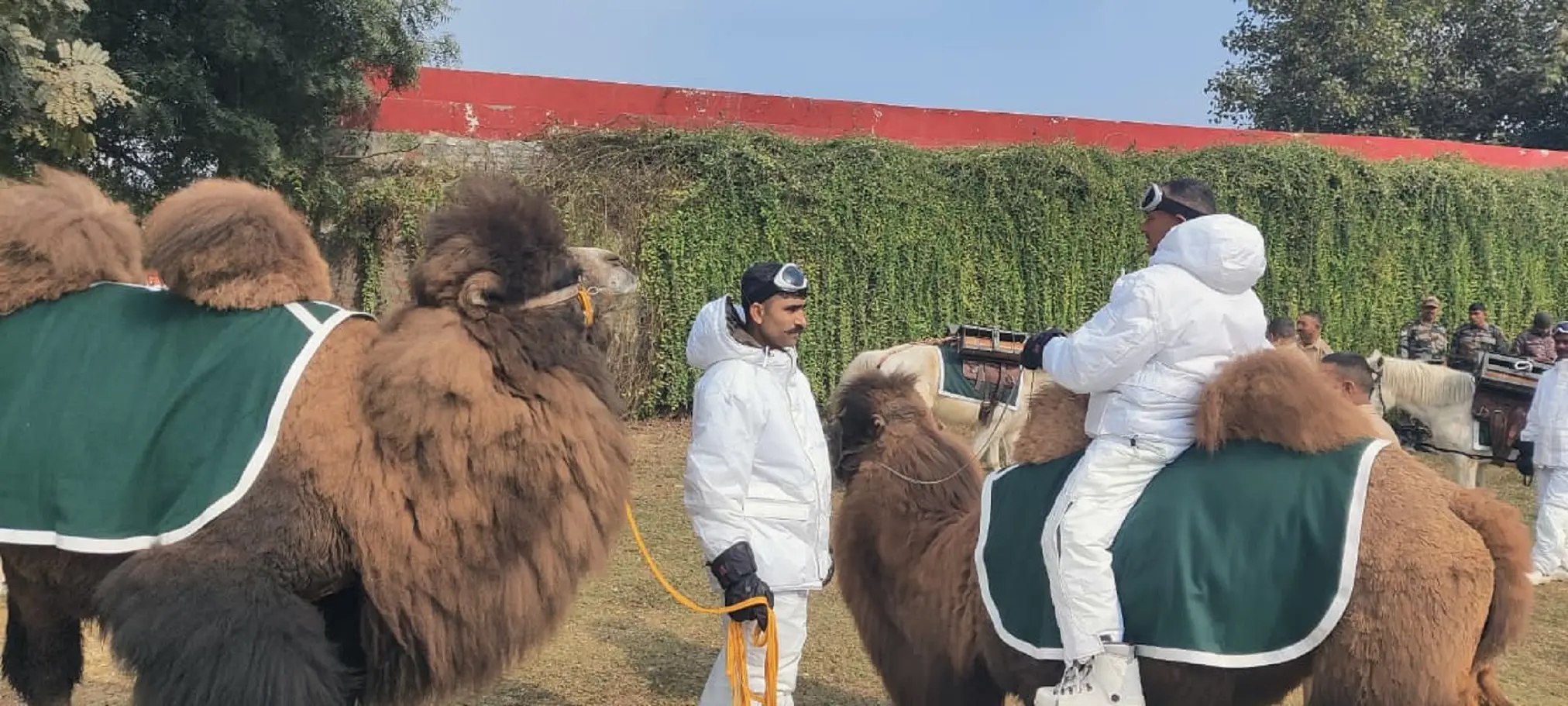 India’s double-humped Bactrian camels and native dog breeds to make Republic Day Parade debut