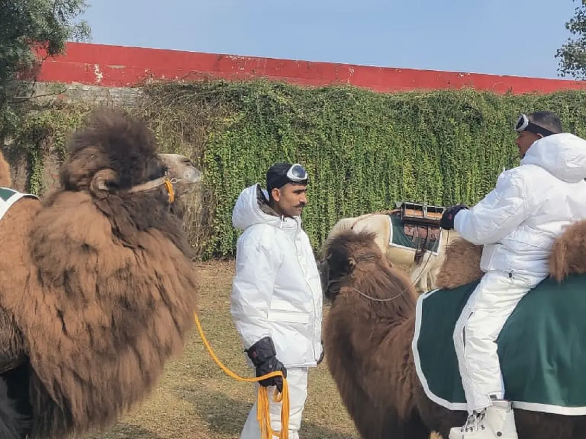 Bactrian Camels and Indian Dog Breeds Debut in Republic Day Parade