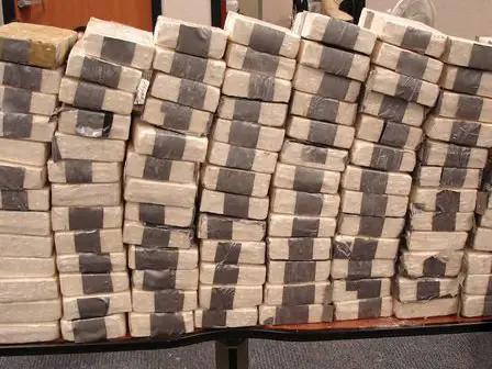 From poultry farm to drug lab: DRI uncovers Rs 55 crore MD Factory in Satara From poultry farm to drug lab: DRI uncovers Rs 55 crore MD Factory in Satara