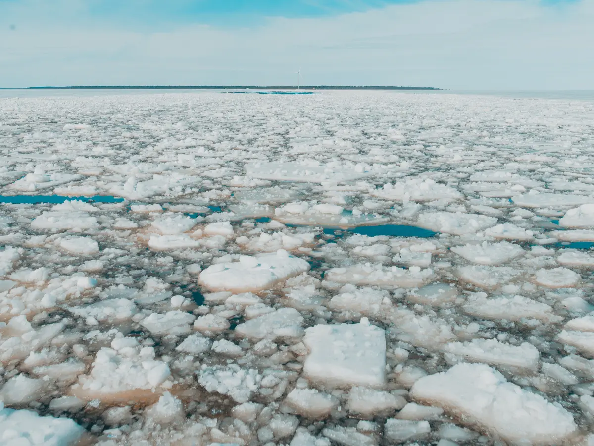 Scientists warn intense heat due to climate change could freeze Earth, ushering in a new Ice Age