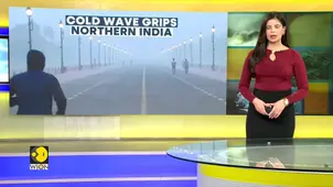 North India Shivers: Cold Wave Hits 13 States, Dense Fog Alert