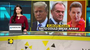 Europe Rallies For Greenland, Warns NATO At Risk 