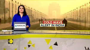Cold wave grips North India: IMD issues cold wave alert across 13 states 