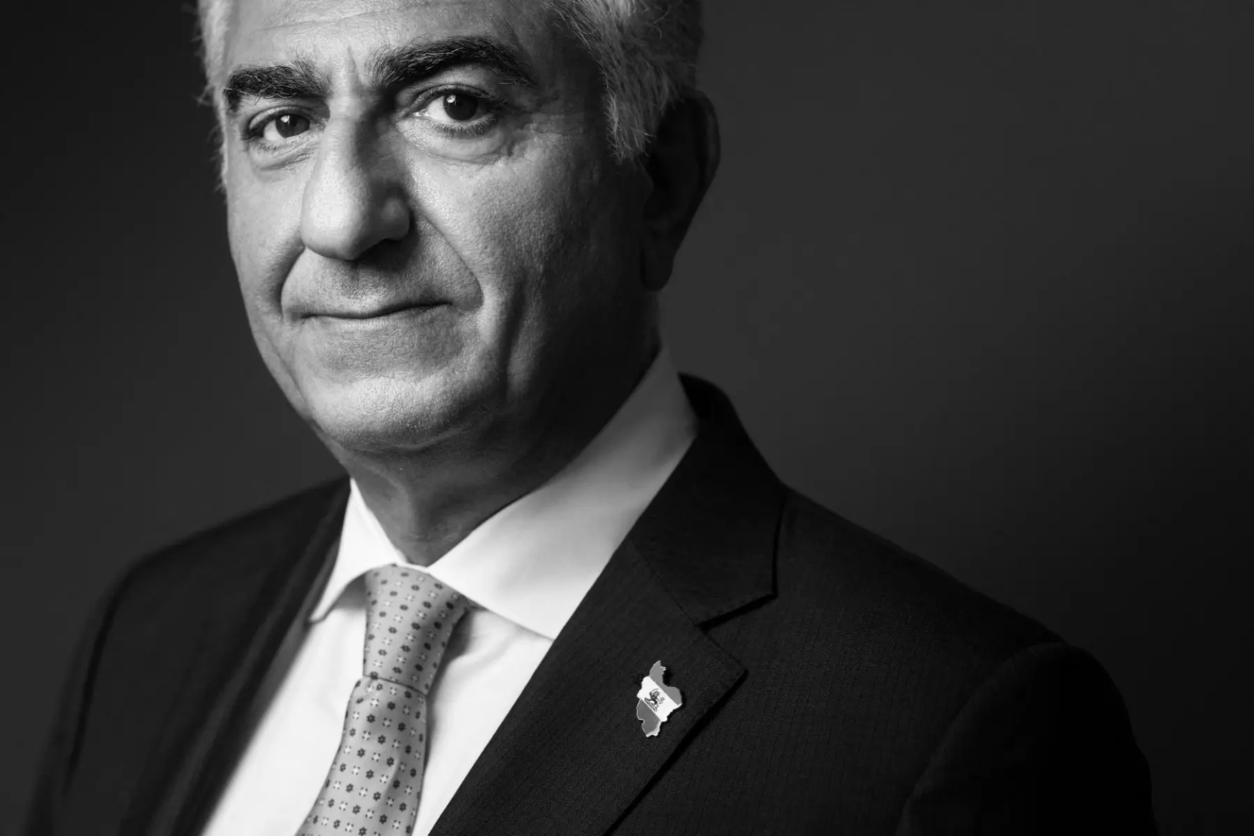 A polarising opposition figure