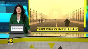 India: Deadly Superbug Detected in Delhi as Per Study Amid Poor Air Quality