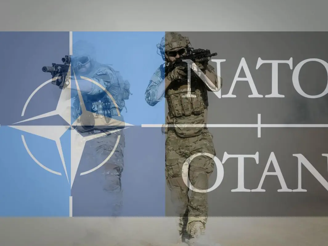 Where does Denmark stand in NATO? Revealing the top 7 most powerful militaries