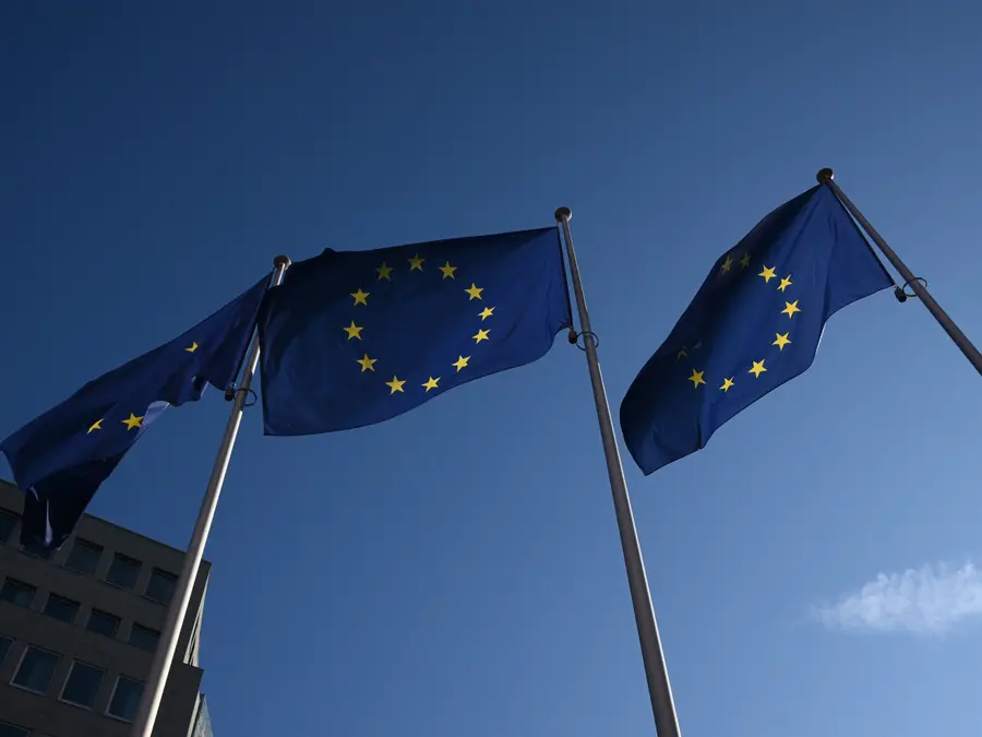 EU should consider forming combined military force to replace US troops: defence chief