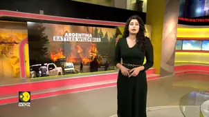 Argentina wildfires: Massive wildfires scorch Patagonia, 15,00 hectares burnt