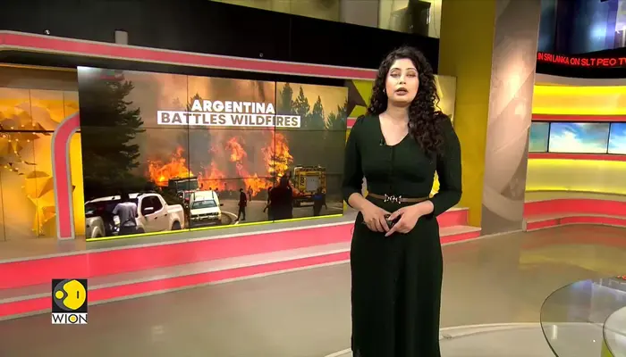 Argentina wildfires: Massive wildfires scorch Patagonia, 15,00 hectares burnt