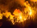 In Pics | Wildfire engulfs more than 15,000 hectares in Argentine Patagonia