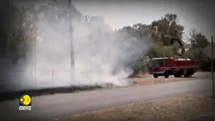 Australia Bushfires Kill 1, Destroy 300 Homes as Emergency Declared | WION