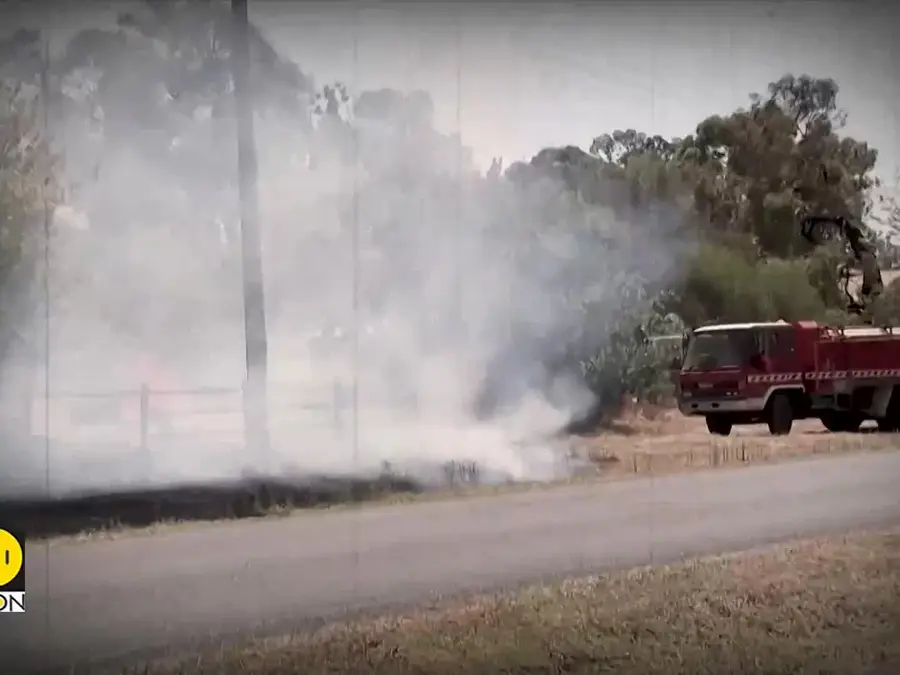 Australia Bushfires Kill 1, Destroy 300 Homes as Emergency Declared | WION