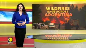 Argentina Wildfires: UNESCO Park Hit as Patagonia Fires Spread | WION