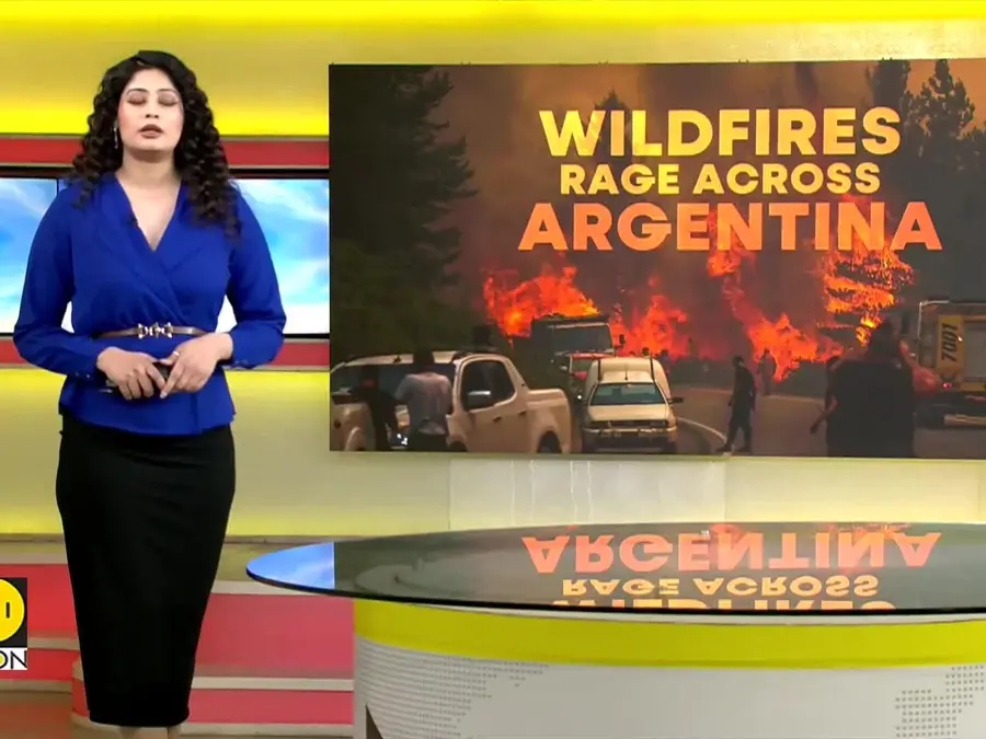 Argentina Wildfires: UNESCO Park Hit as Patagonia Fires Spread | WION