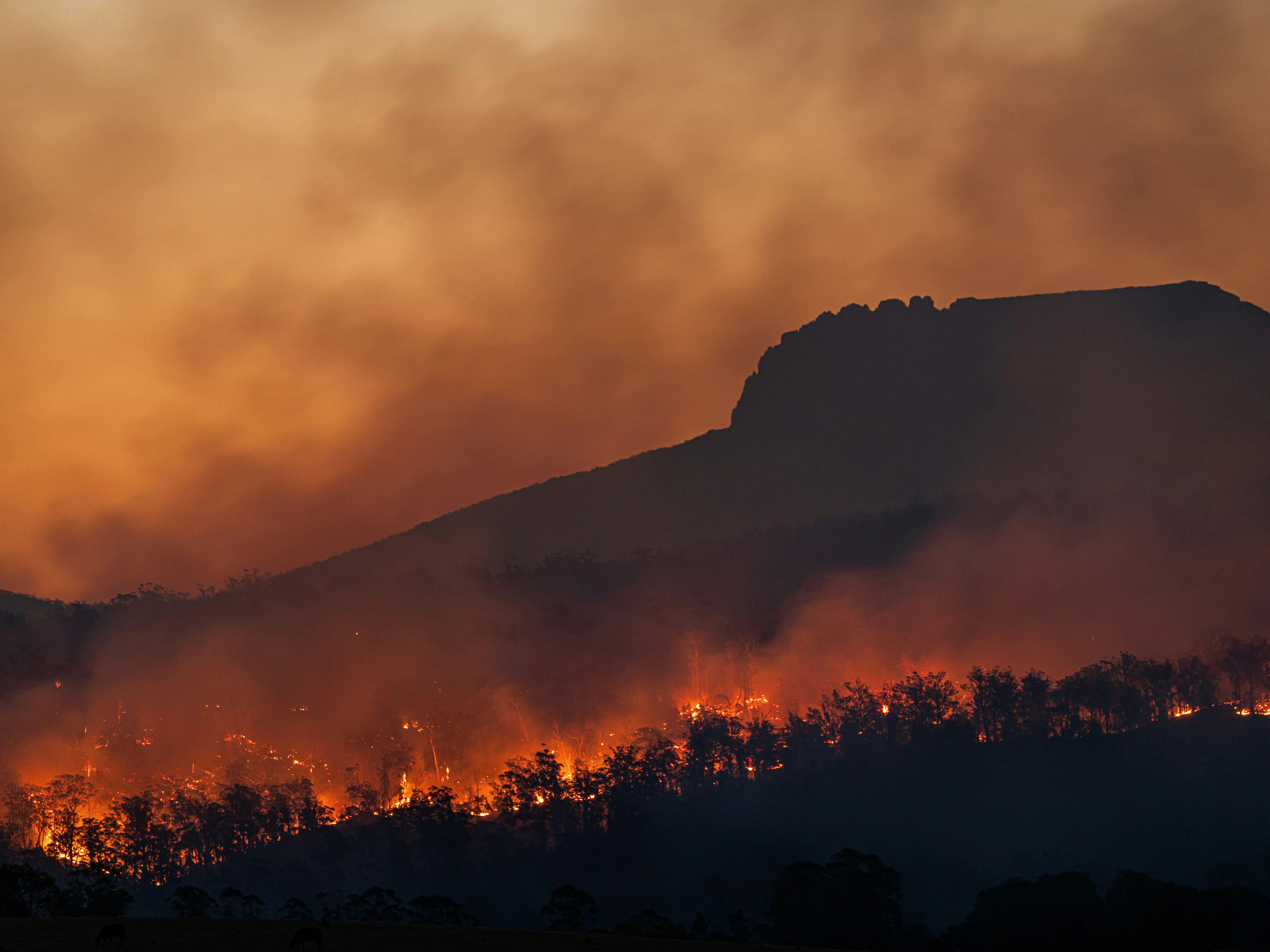 Earth logs third-warmest year in 2025 as 1.5°C threshold breached for three years, scientists confirm Earth logs third-warmest year in 2025 as 1.5°C threshold breached for three years, scientists confirm