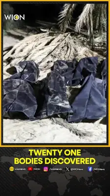 Wion News