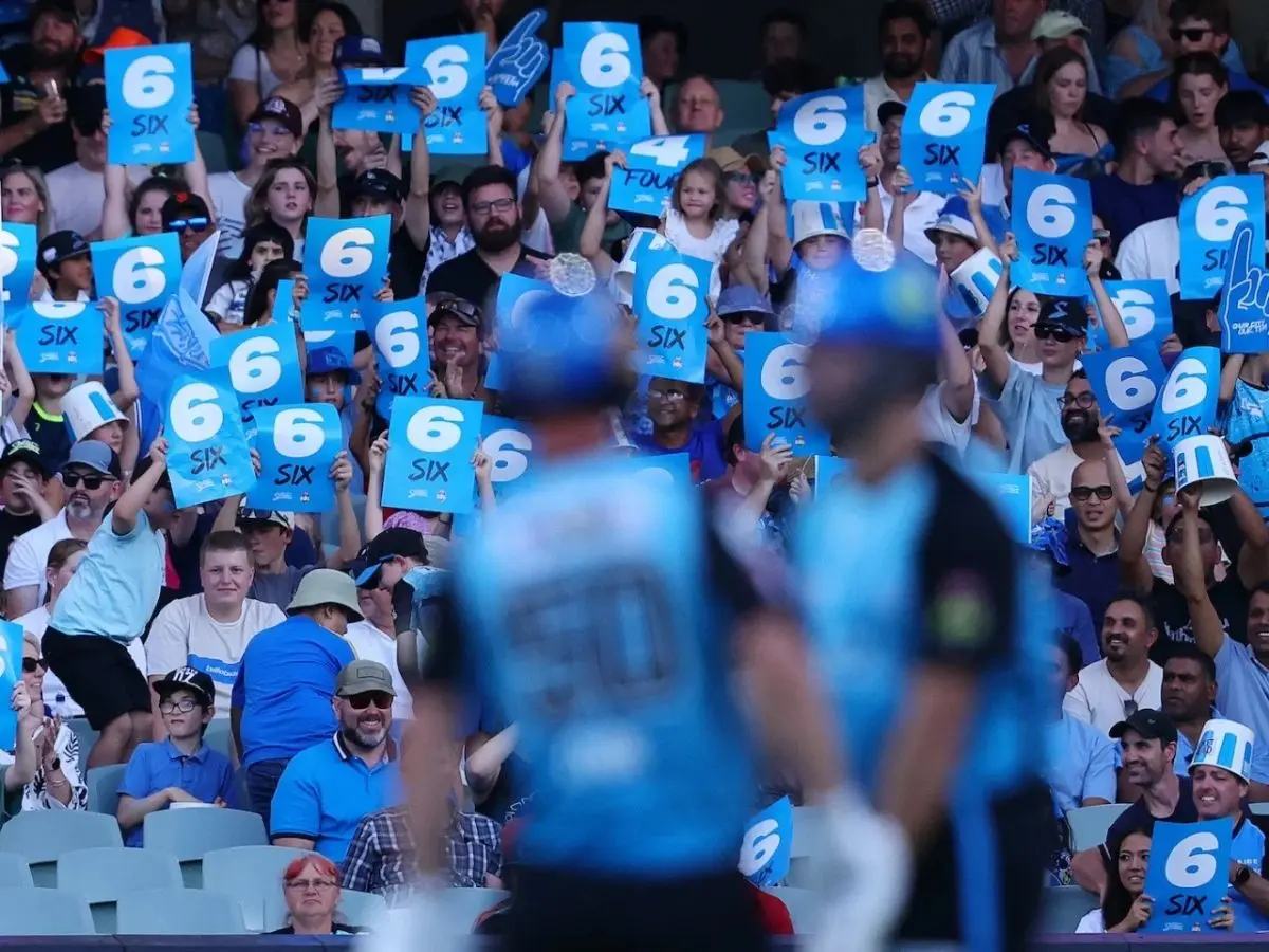 What is BBL’s new rule, ‘designated batter and fielder’ - Ricky Ponting among first to back it What is BBL’s new rule, ‘designated batter and fielder’ - Ricky Ponting among first to back it
