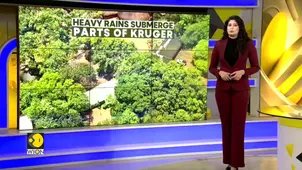 Kruger Floods: River Burst Banks in South Africa's Kruger; Wildlife Park Hit by Fast-Rising Waters 