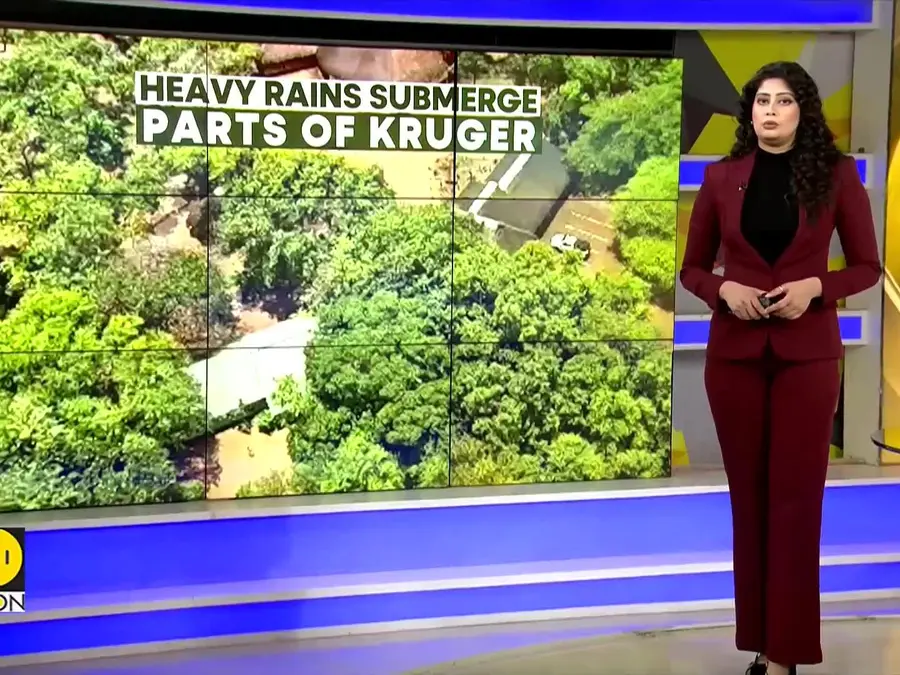 Kruger Floods: River Burst Banks in South Africa's Kruger; Wildlife Park Hit by Fast-Rising Waters 