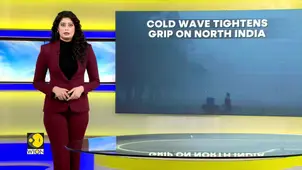 North India Cold: Severe Cold Persists in Delhi & Neighbouring States 
