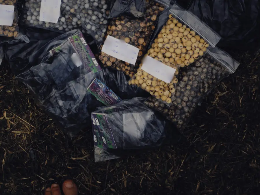 A plot to poison American crops? Chinese seeds packets are showing up at US homes