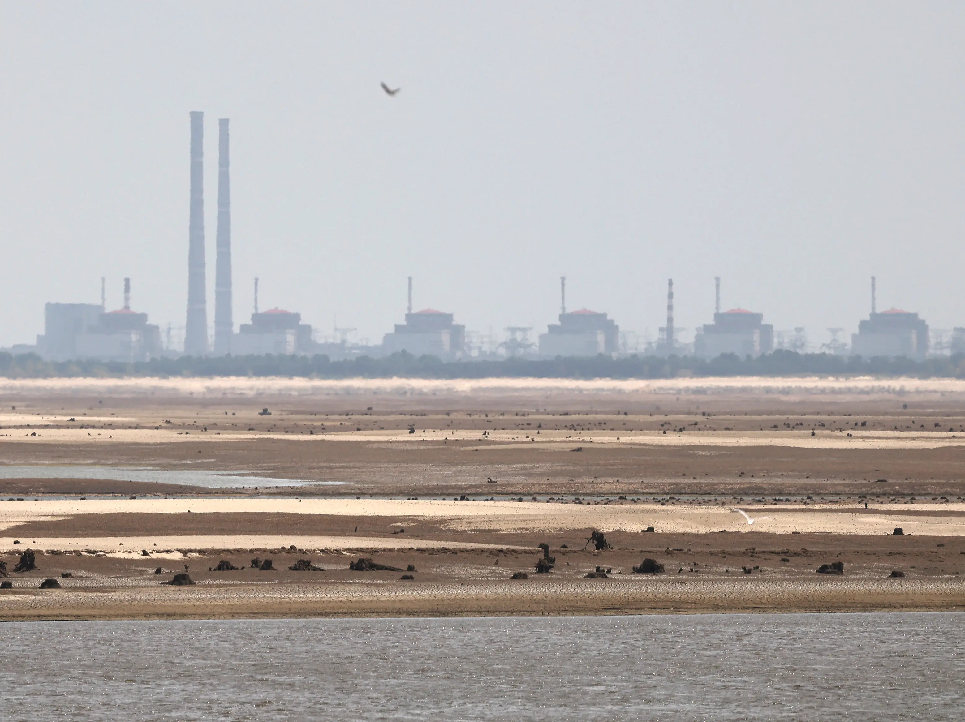 Europe’s biggest nuclear plant at stake: Russia, Ukraine agree to ‘localised ceasefire’ for repairs at Zaporizhzhia Europe’s biggest nuclear plant at stake: Russia, Ukraine agree to ‘localised ceasefire’ for repairs at Zaporizhzhia