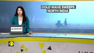 North India Cold Wave: Severe Cold Persists in Delhi & Neighboring States 